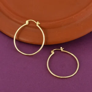 Circular Hoops Earrings Image