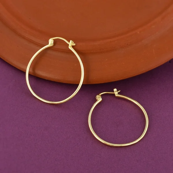 Circular Hoops Earrings | Medium Size