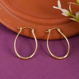 Oval hoops earrings